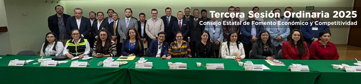 Tercera Sesión Ordinaria 2025